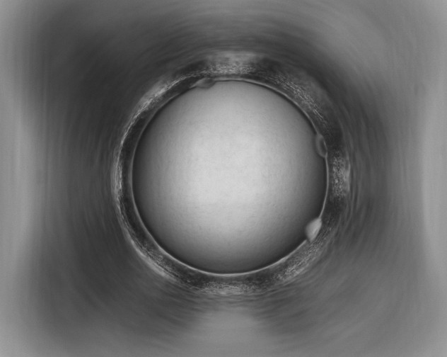 X0000116270726200912071042