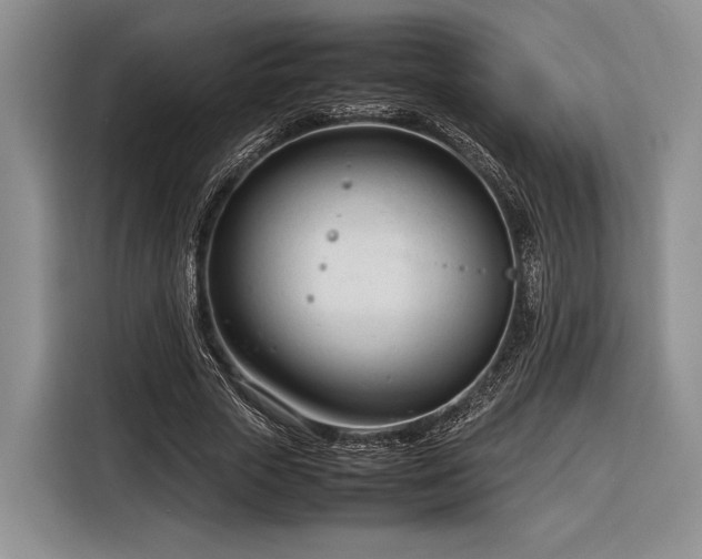 X0000116270729200912071042