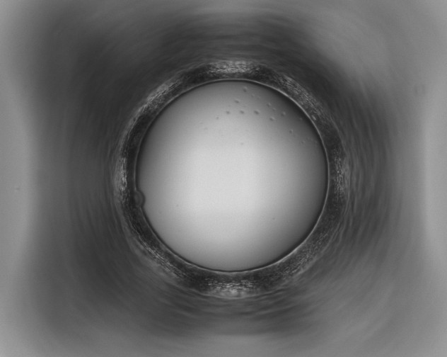 X0000116270731200912071042