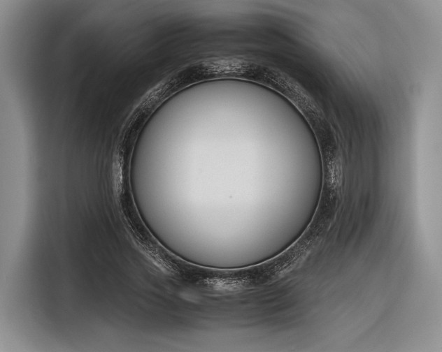 X0000116270733200912071042