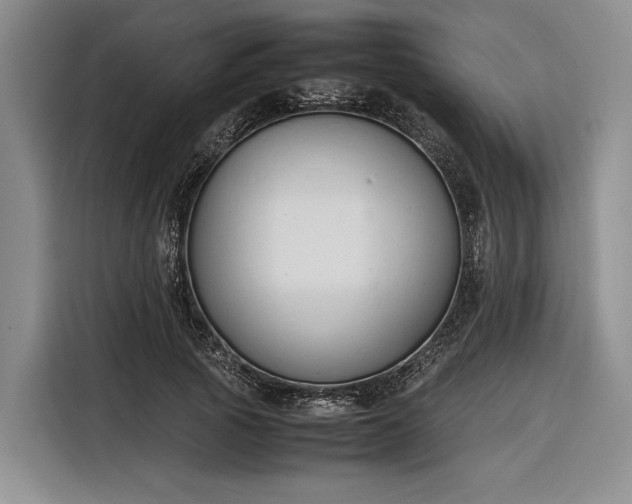 X0000116270737200912071042