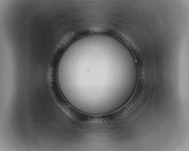 X0000116270738200912071042