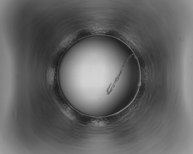 X0000116270742200912071042