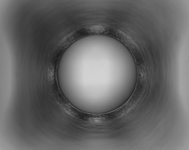X0000116270745200912071042