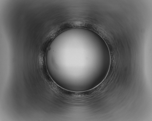 X0000116270746200912071042