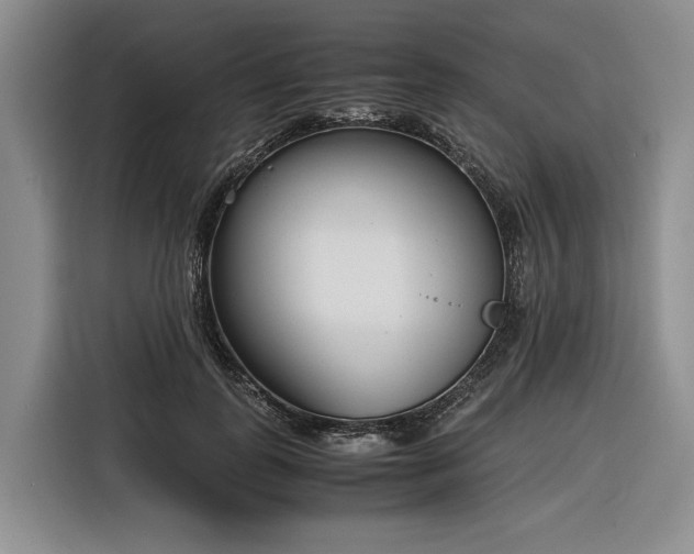 X0000116270747200912071042