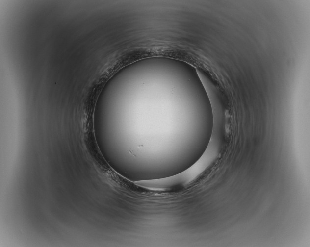X0000116270750200912071042