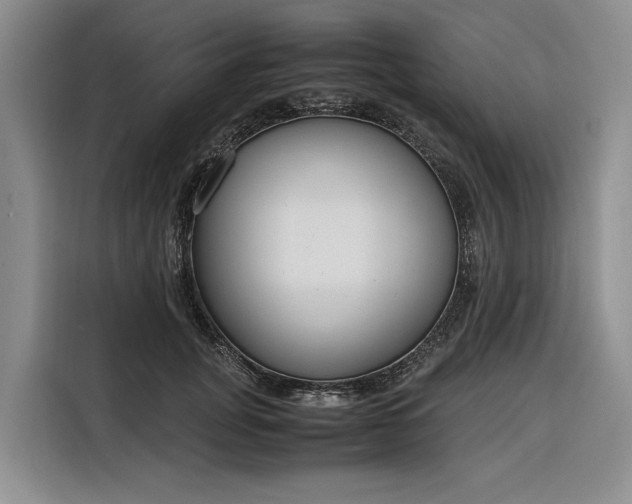 X0000116270751200912071042