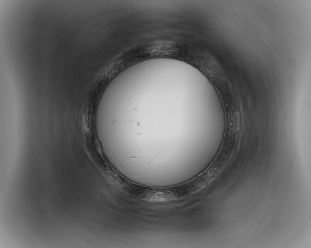X0000116270755200912071042