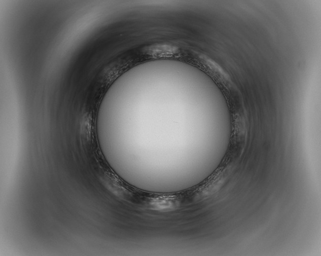 X0000116270761200912071042