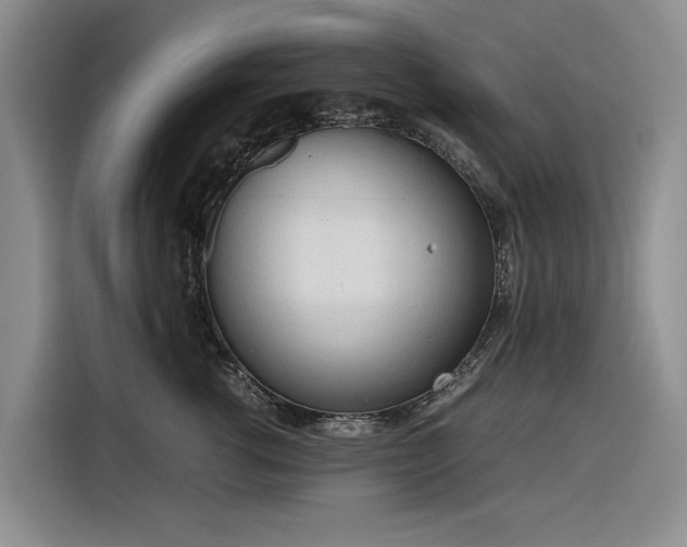 X0000116270762200912071042