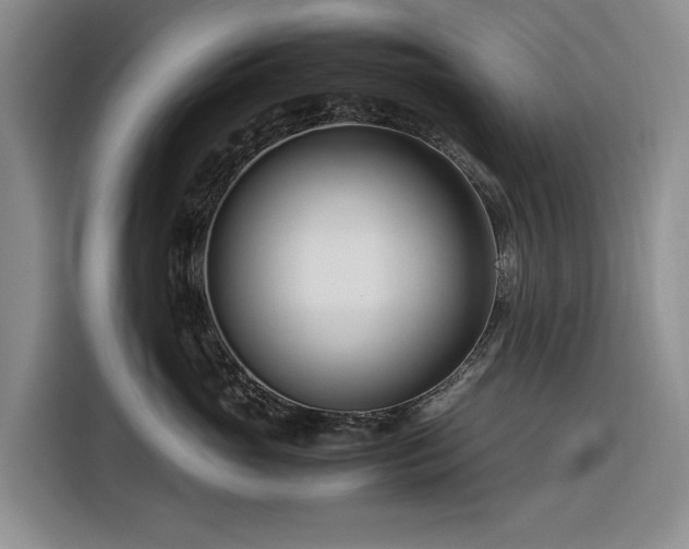 X0000116270765200912071042