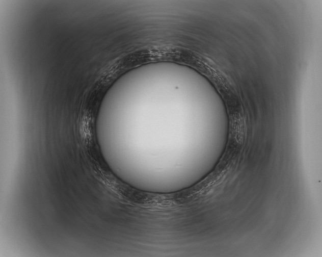 X0000116270770200912071041