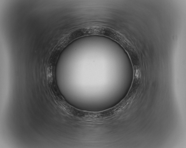 X0000116270771200912071041