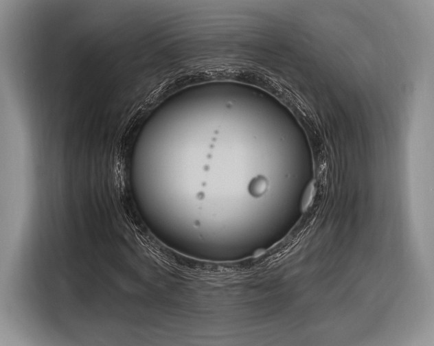 X0000116270772200912071041