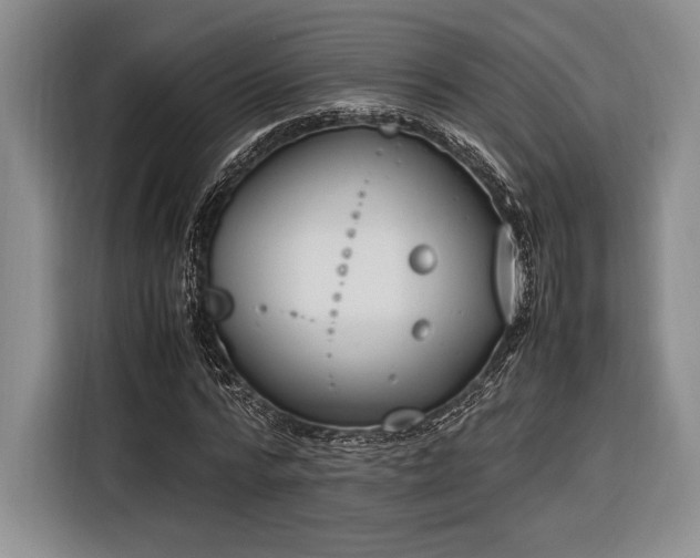 X0000116270776200912071041