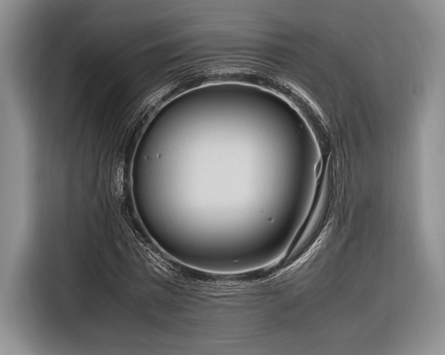 X0000116270777200912071041