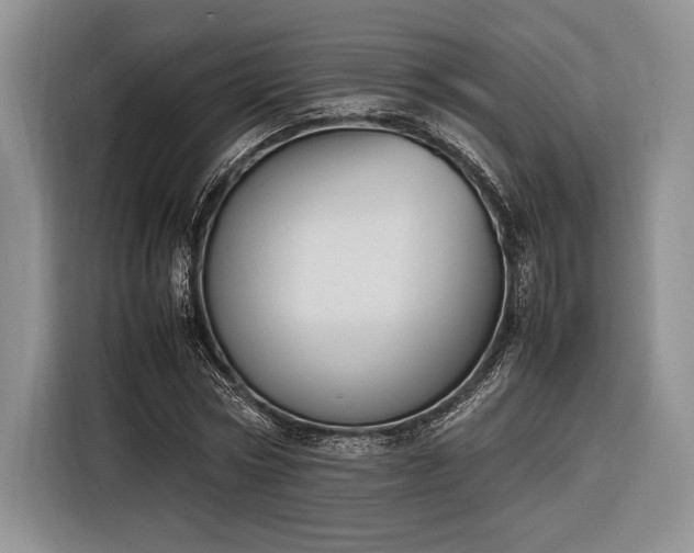 X0000116270778200912071041