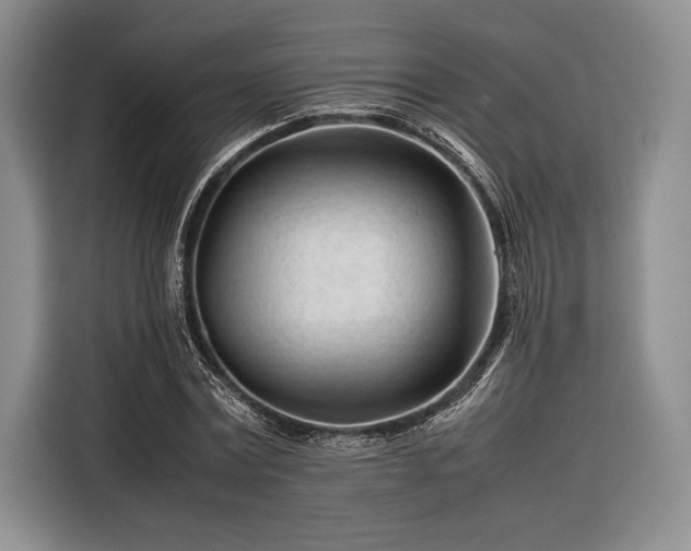 X0000116270779200912071041