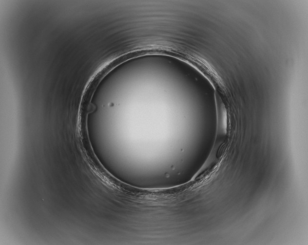 X0000116270780200912071041