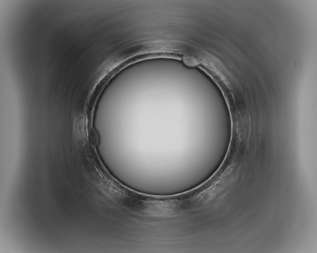 X0000116270781200912071041