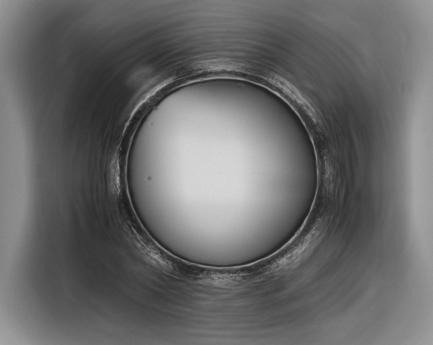 X0000116270782200912071041