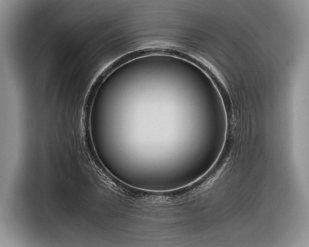X0000116270783200912071041