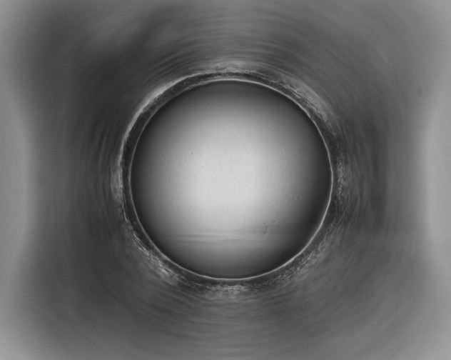 X0000116270784200912071041