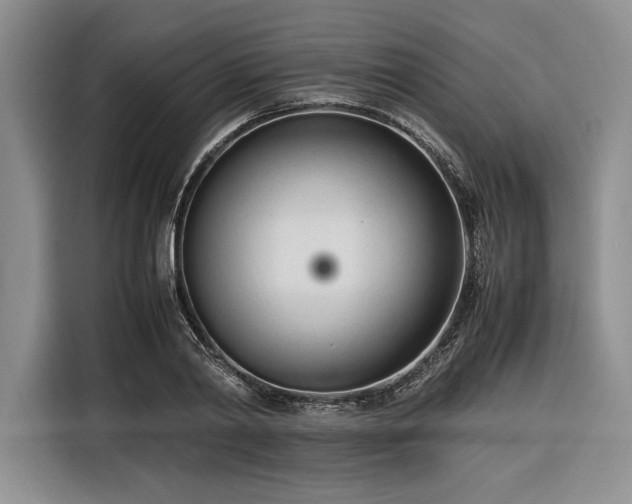 X0000116270790200912071041