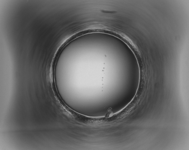 X0000116270791200912071041