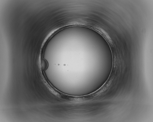 X0000116270796200912071041