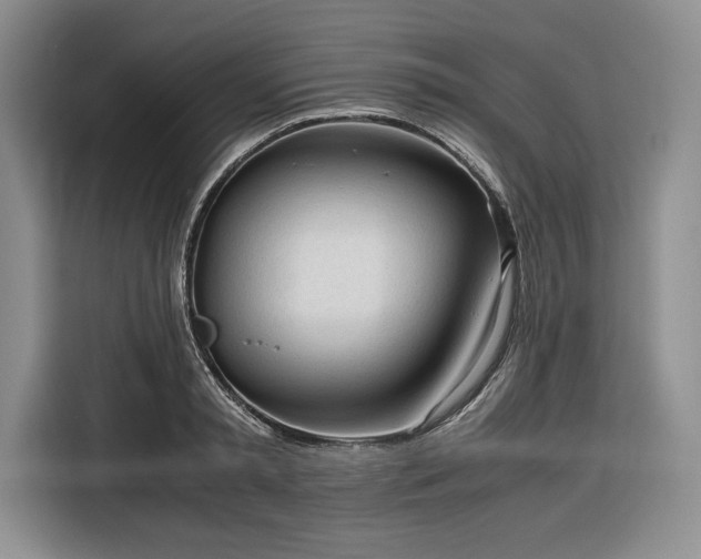 X0000116270797200912071041