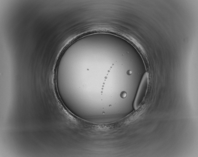 X0000116270799200912071041