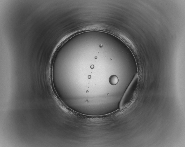 X0000116270800200912071041