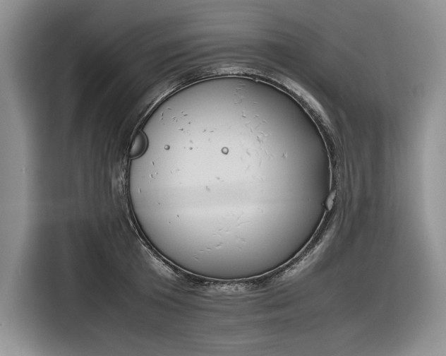 X0000116270801200912071041