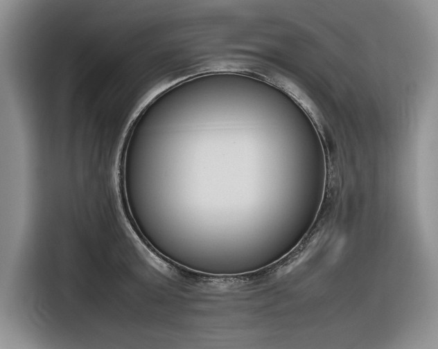X0000116270803200912071041