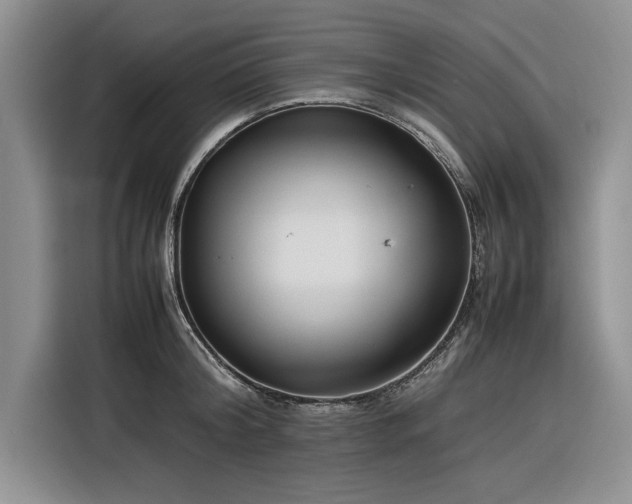 X0000116270804200912071041