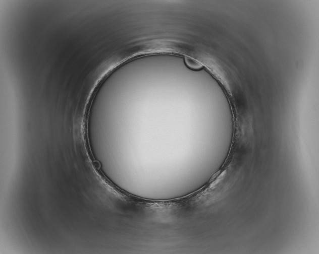 X0000116270805200912071041