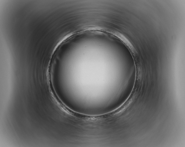 X0000116270806200912071041