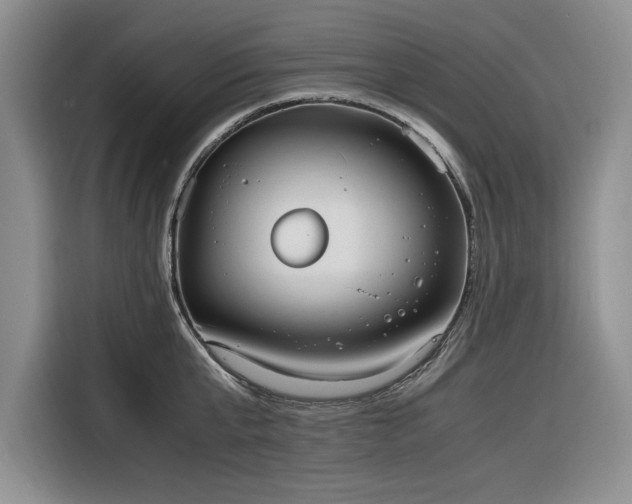 X0000116270807200912071041