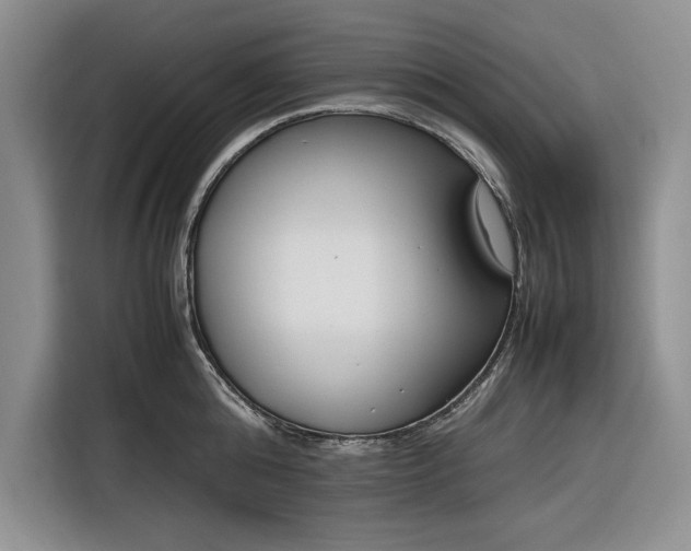 X0000116270808200912071041
