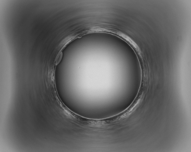 X0000116270809200912071041