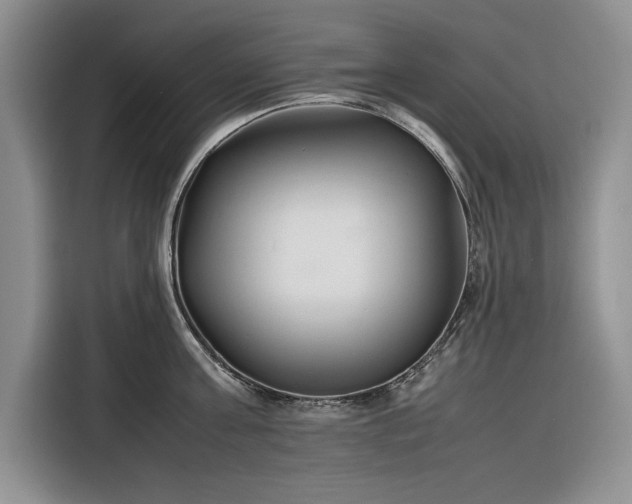 X0000116270811200912071041