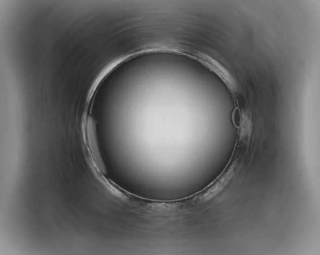 X0000116270812200912071041