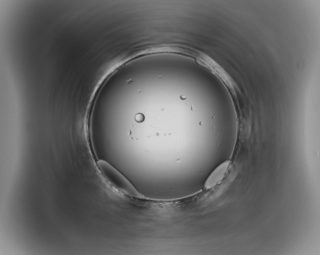 X0000116270813200912071041