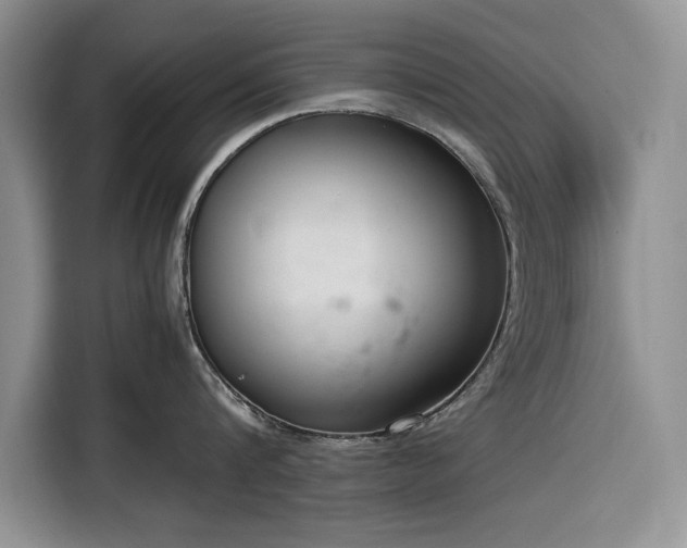 X0000116270816200912071041