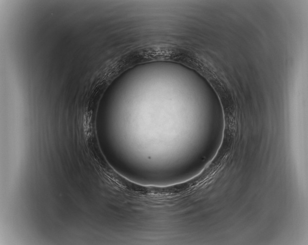 X0000116270818200912071040