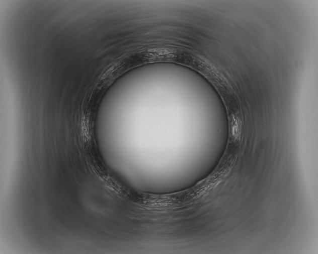 X0000116270819200912071040