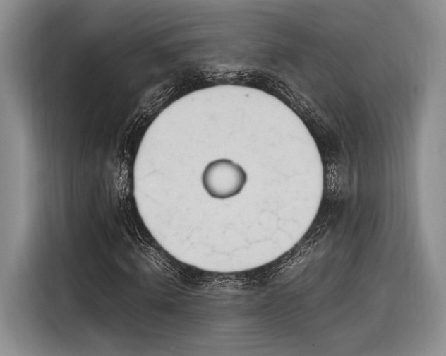 X0000116270820200912071040