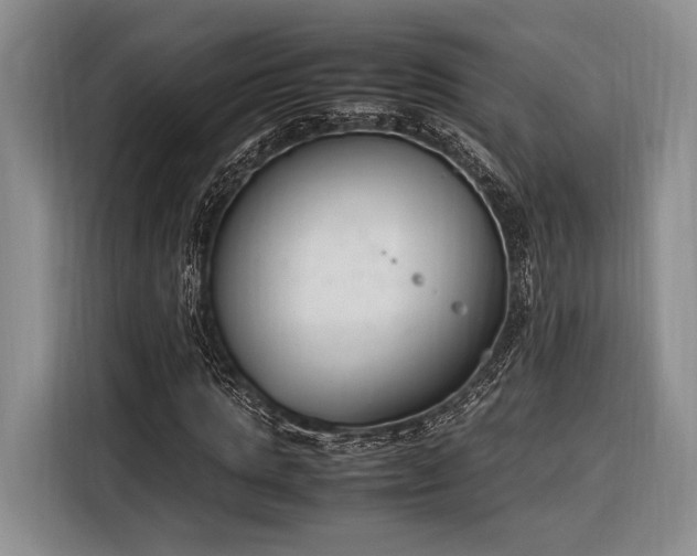 X0000116270821200912071040